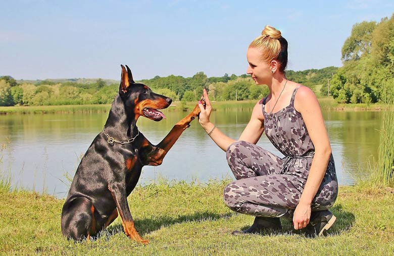 energy-healing-with-pets-miami