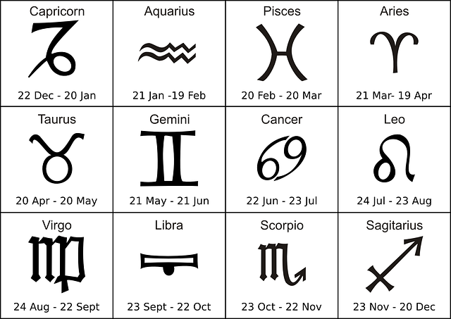 vedic-astrology-miami
